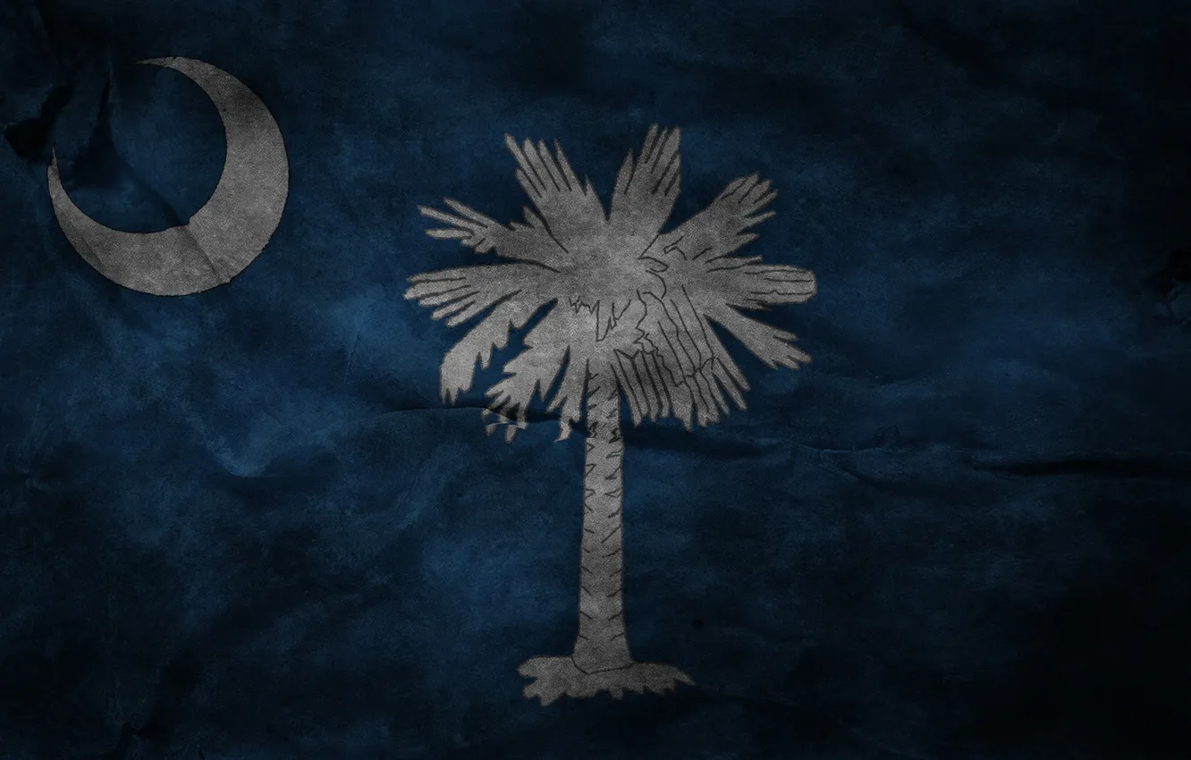 Фото обои пальма, луна, Флаг