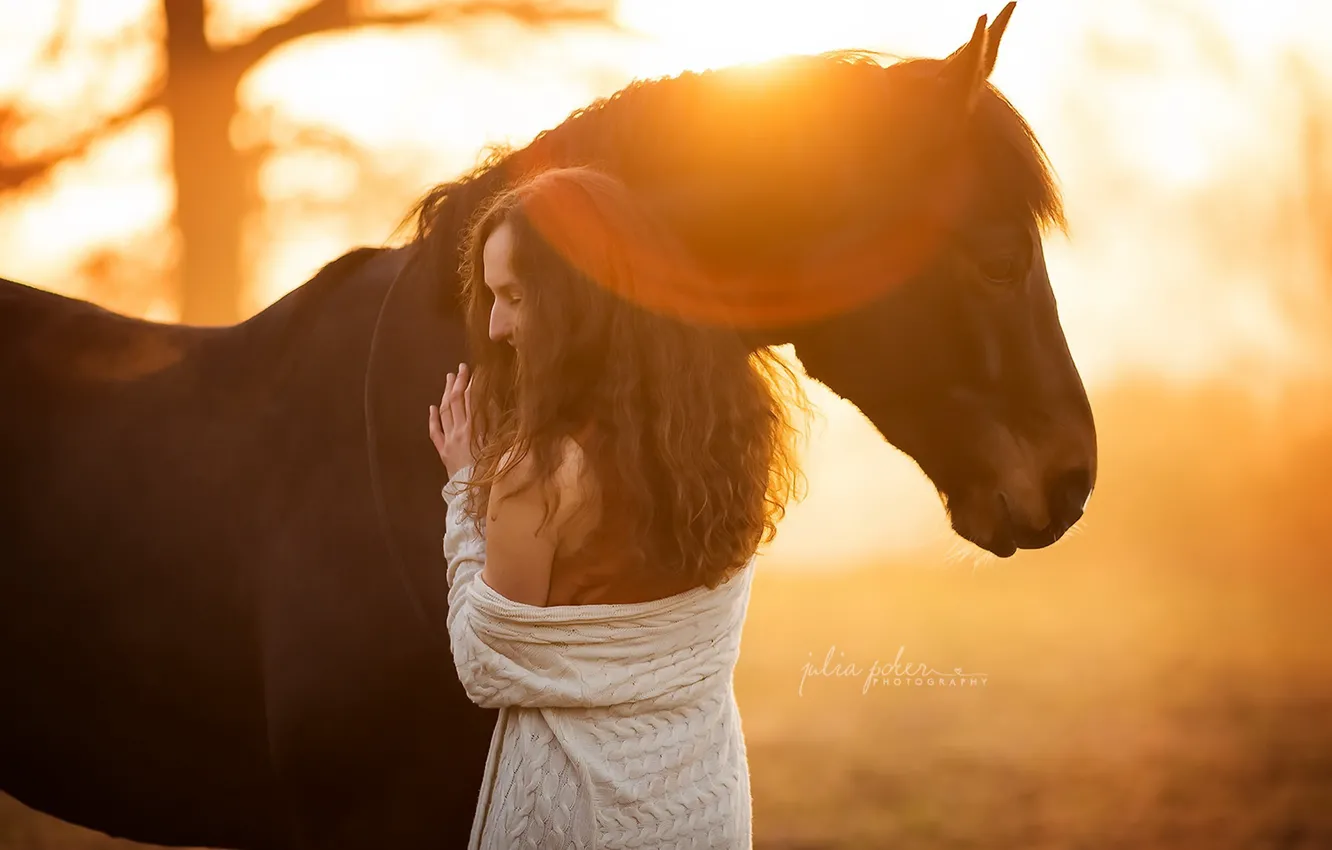 Фото обои девушка, свет, конь
