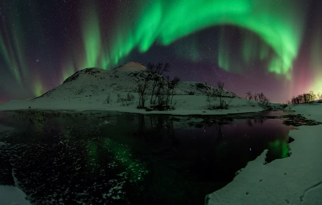 Фото обои вода, звезды, снег, деревья, ночь, зеленый, северное сияние, Aurora Borealis