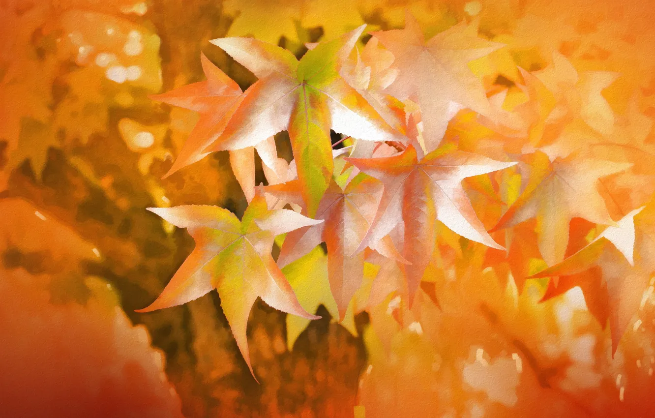 Фото обои осень, листья, текстура