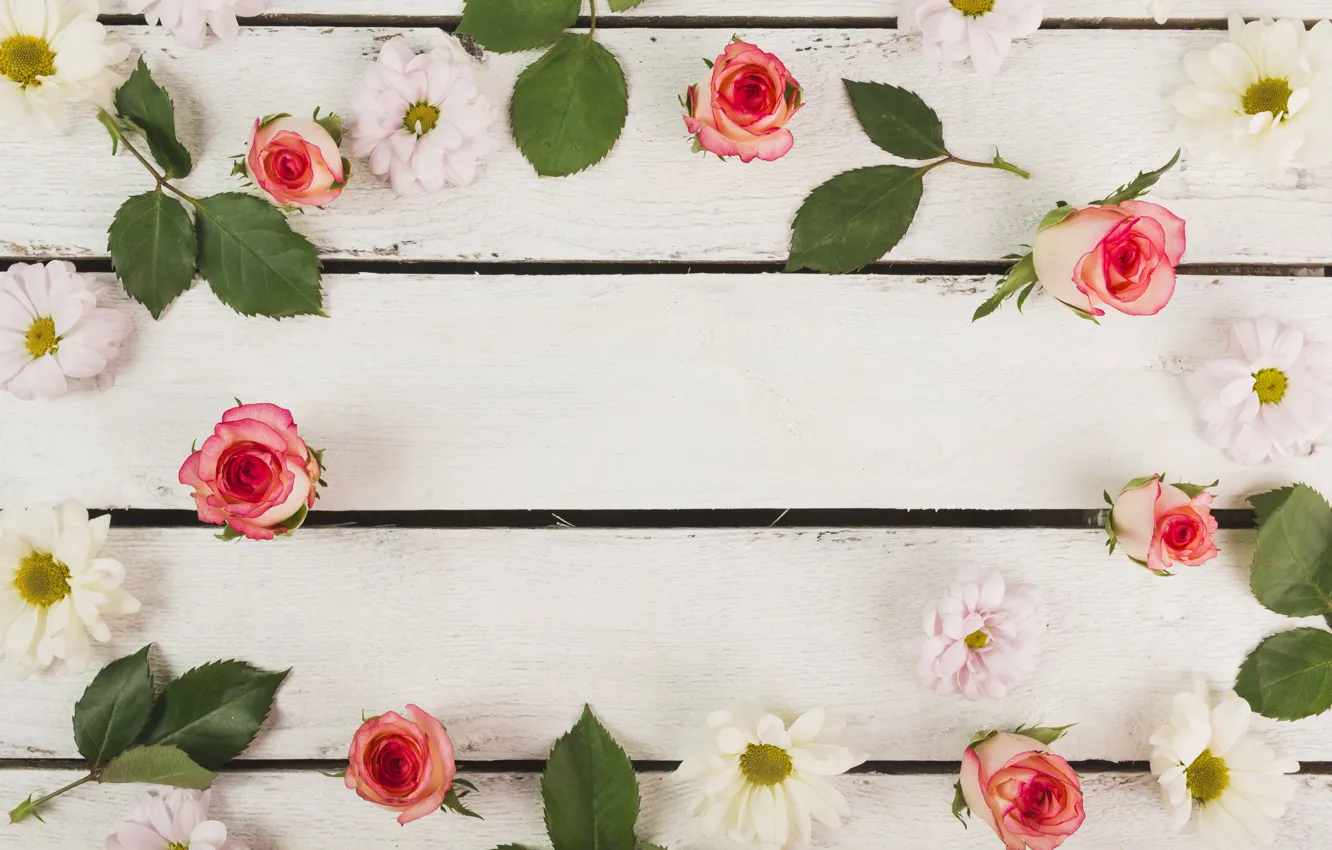 Фото обои цветы, rose, wood, flower, декор, розы, бутоны