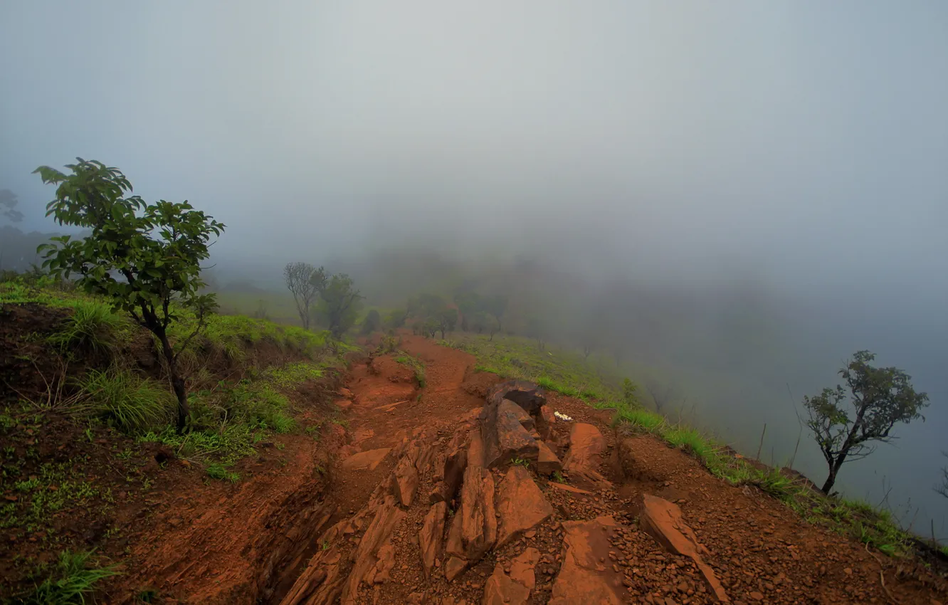 Фото обои пейзаж, природа, туман, гора