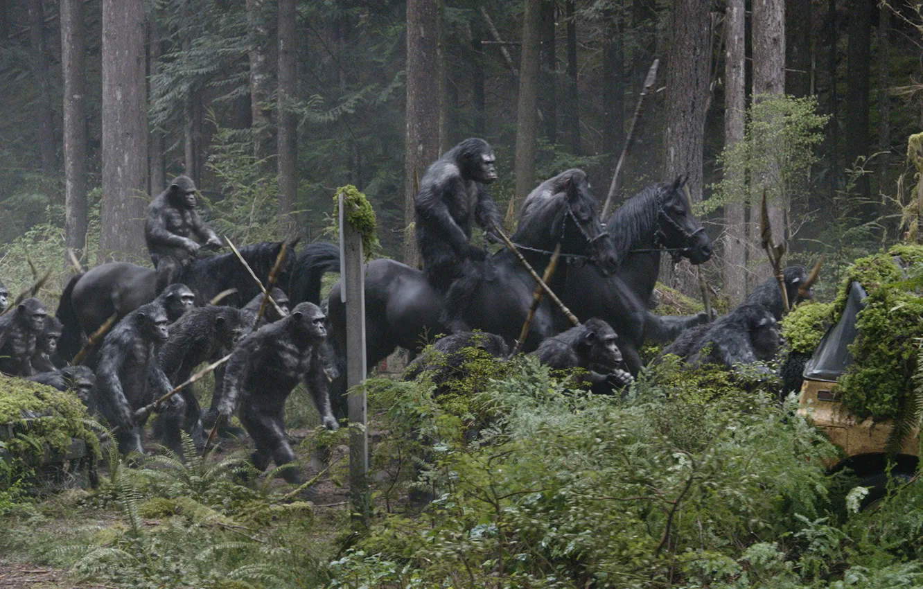 Фото обои лошадь, обезьяна, Планета обезьян: Революция, Dawn of the Planet of the Apes