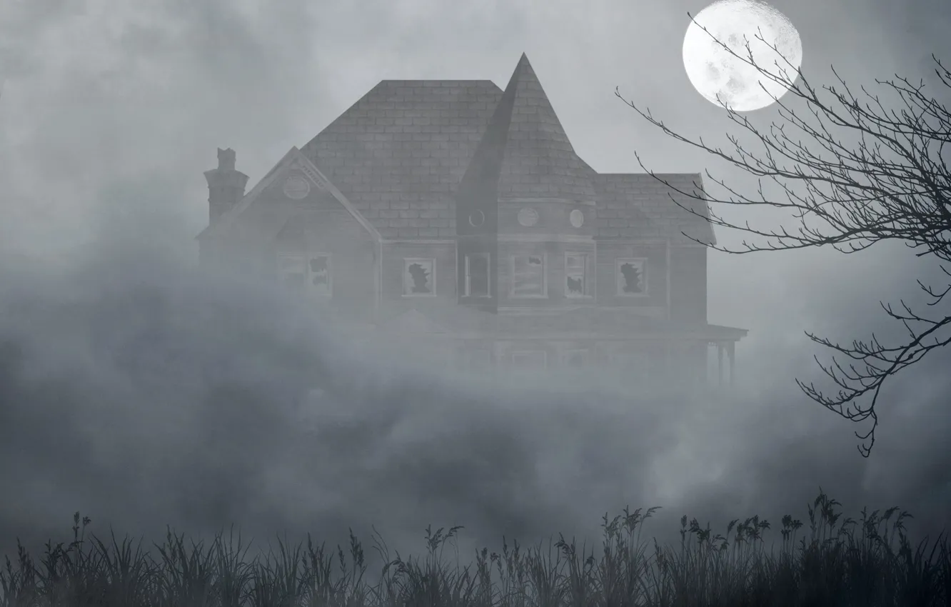 Фото обои трава, туман, дом, дерево, луна, мрак, окна, разбитые