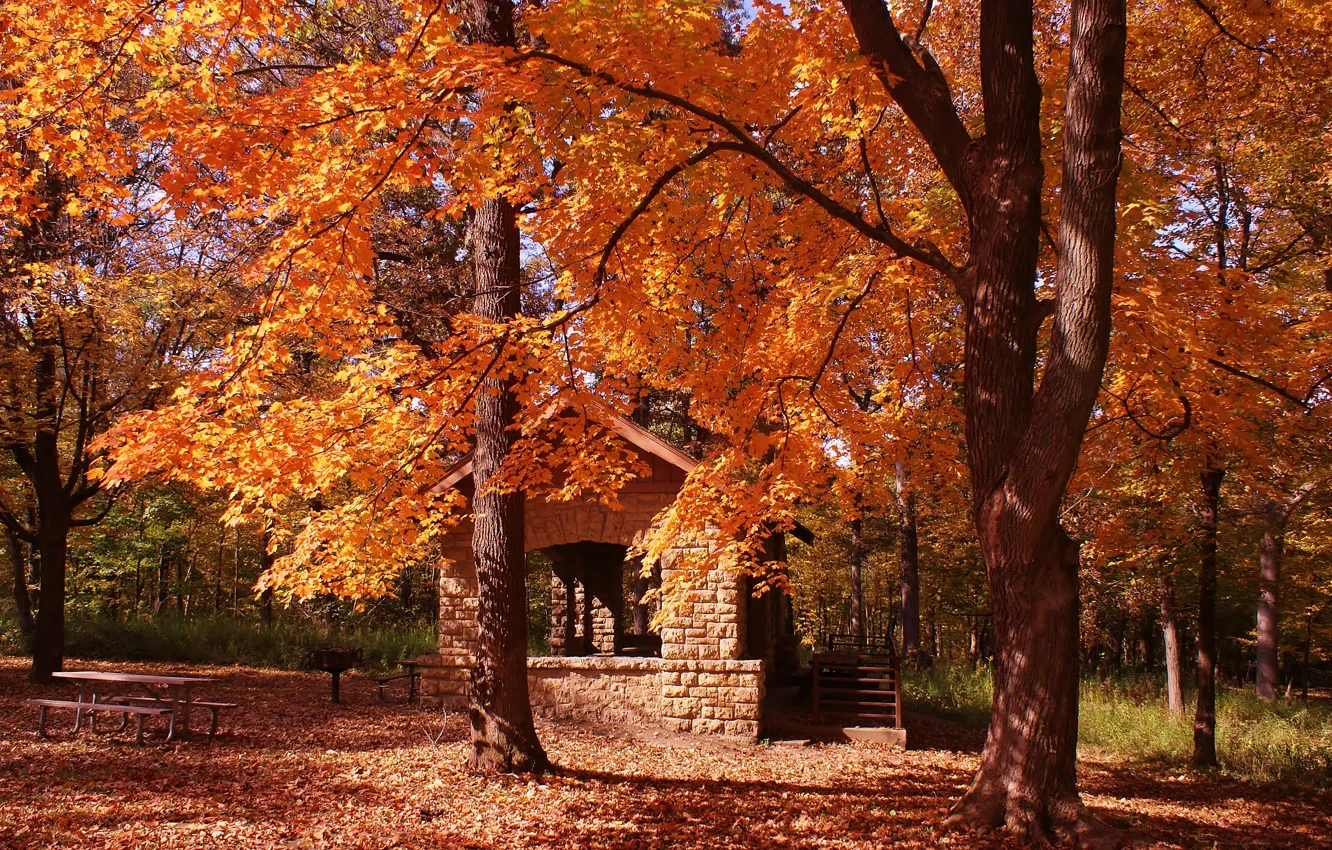 Фото обои house, trees, nature, park, autumn, leaves, fall