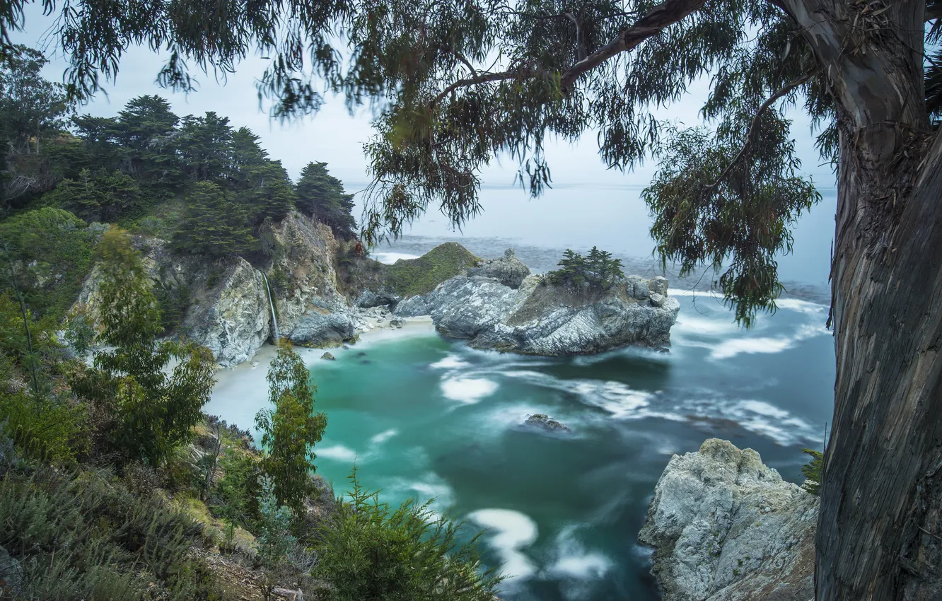Фото обои море, пляж, дерево, скалы, водопад