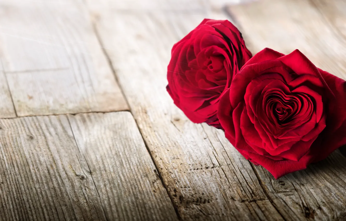 Фото обои любовь, цветы, сердце, розы, лепестки, пара, красные, red