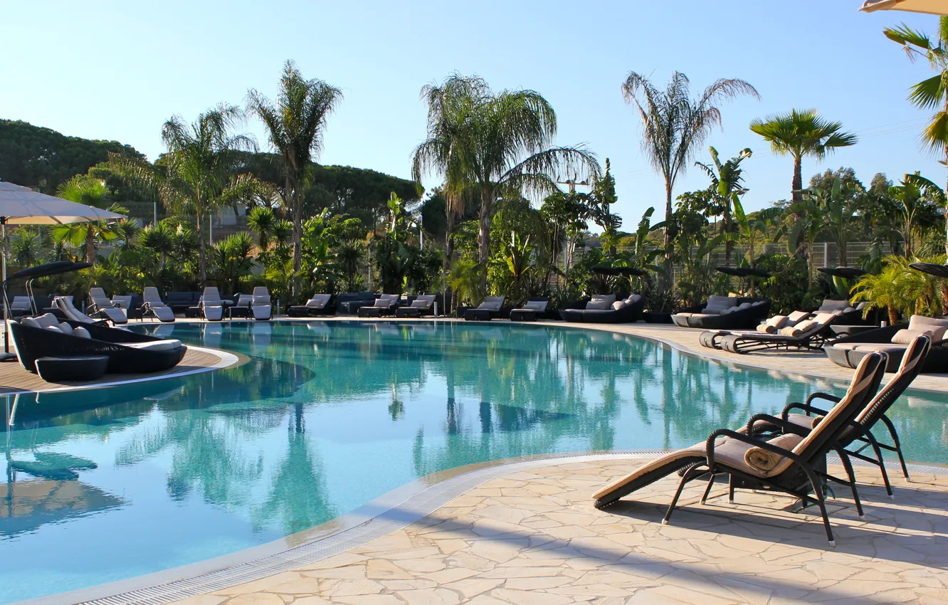 Фото обои пальмы, бассейн, курорт
