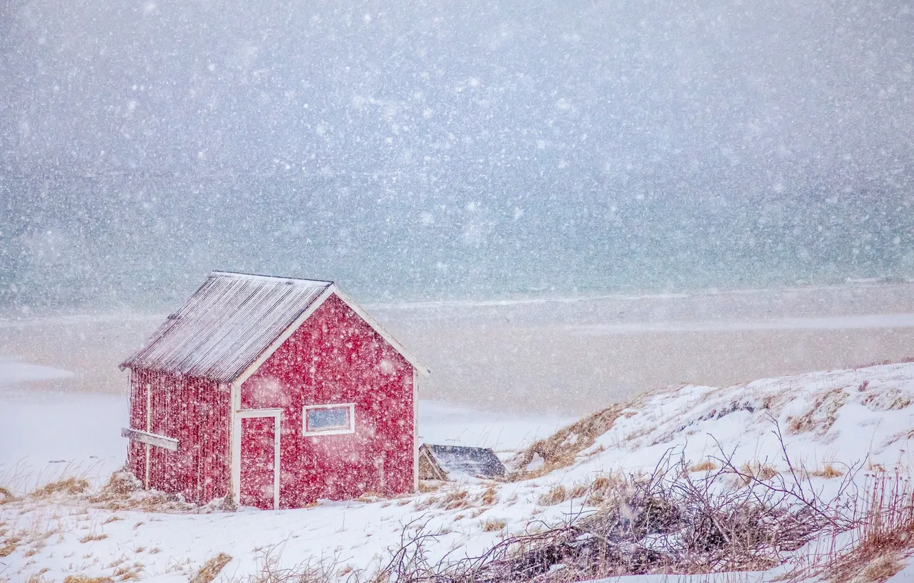 Фото обои зима, море, снег, побережье, Норвегия, домик, Norway, Нурланн