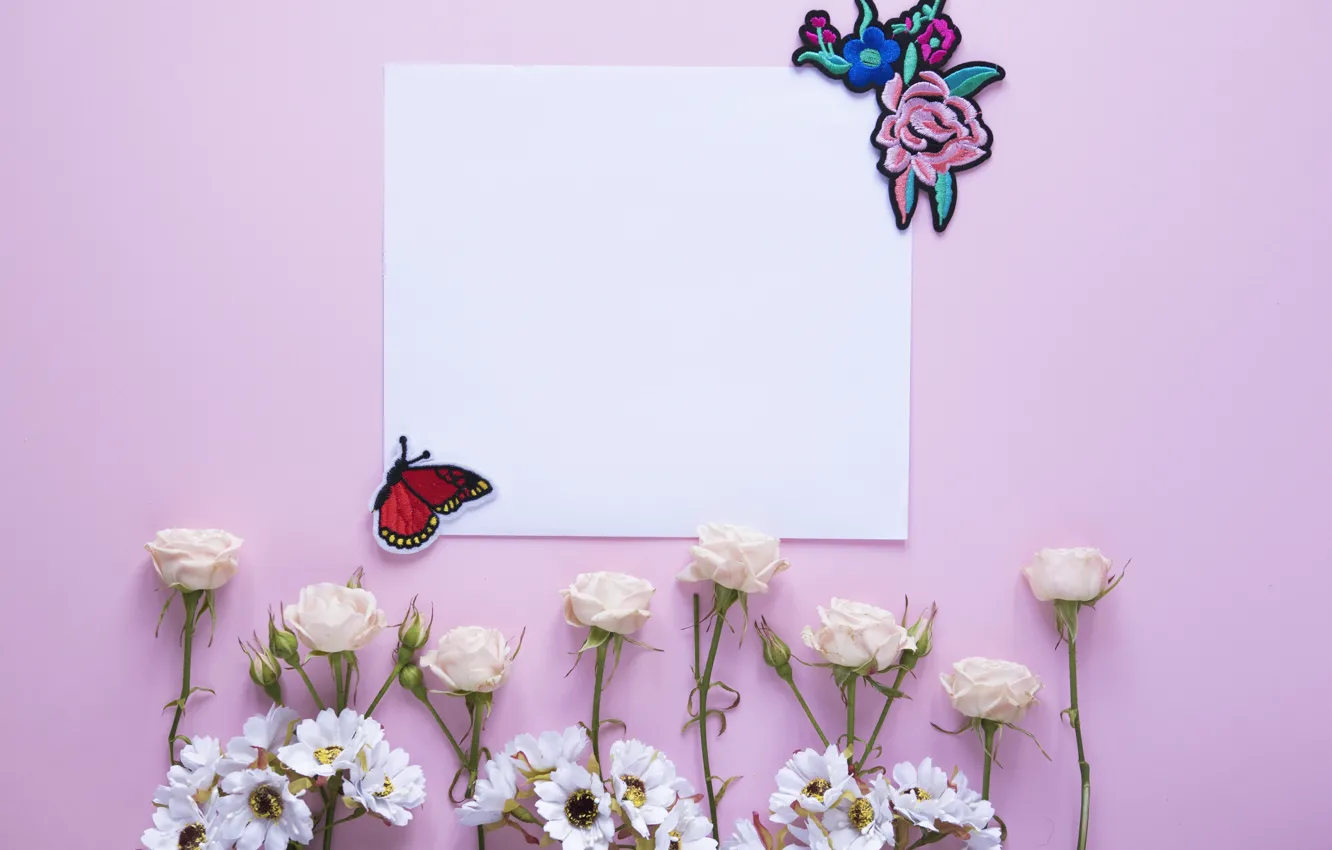 Фото обои цветы, розы, хризантемы, открытка