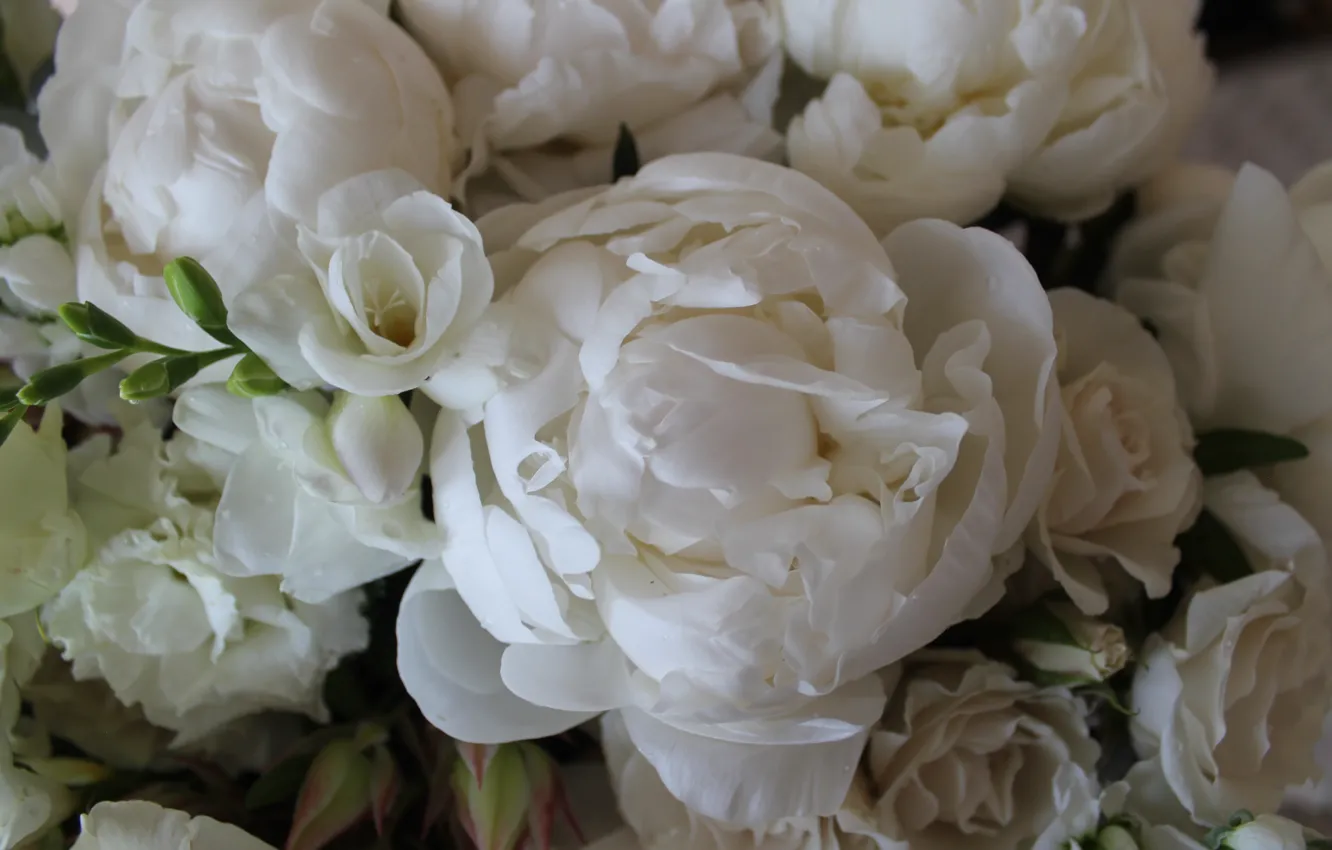 Фото обои белый, макро, букет, пион, фрезия, эвкалипт, кустовые розы