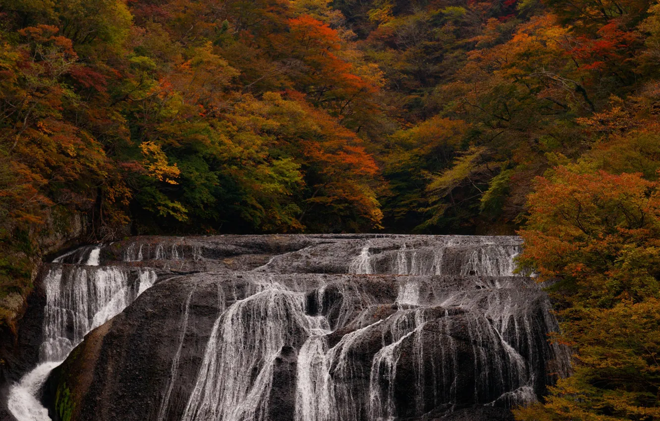 Фото обои осень, деревья, пейзаж, природа, обрыв, водопад, поток