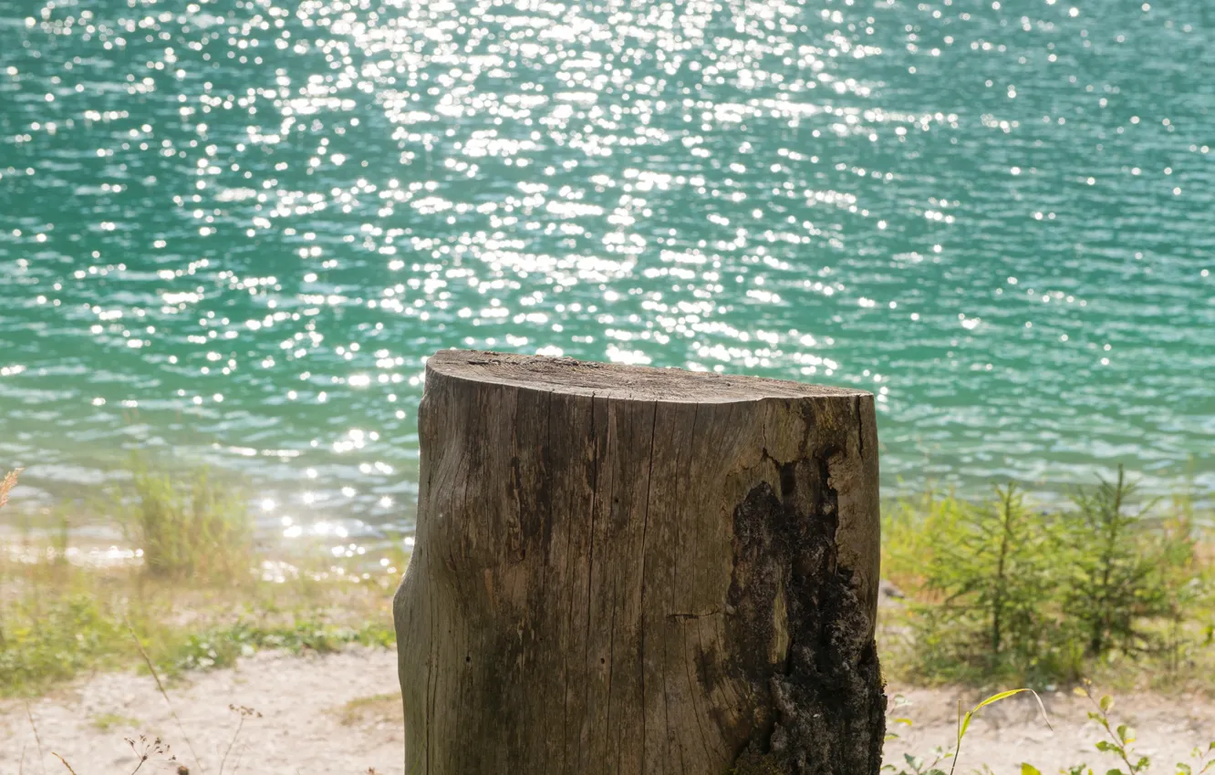 Фото обои summer, austria, wood, lake, reflection