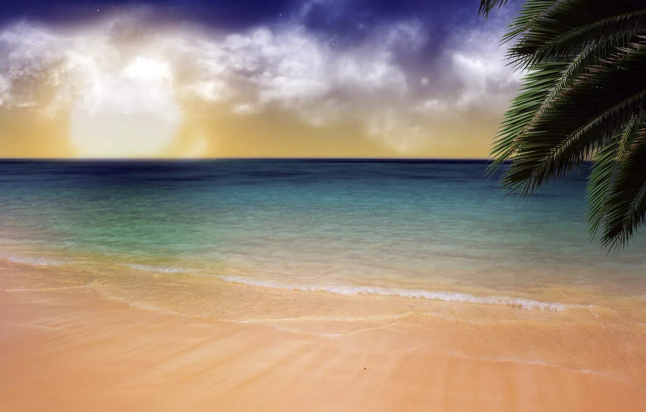 Фото обои пляж, пейзаж, пальма, спокойствие, прибой
