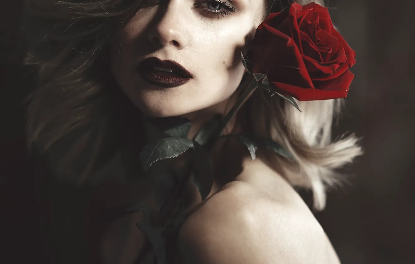 Фото обои роза, макияж, губки, Ilya Turda