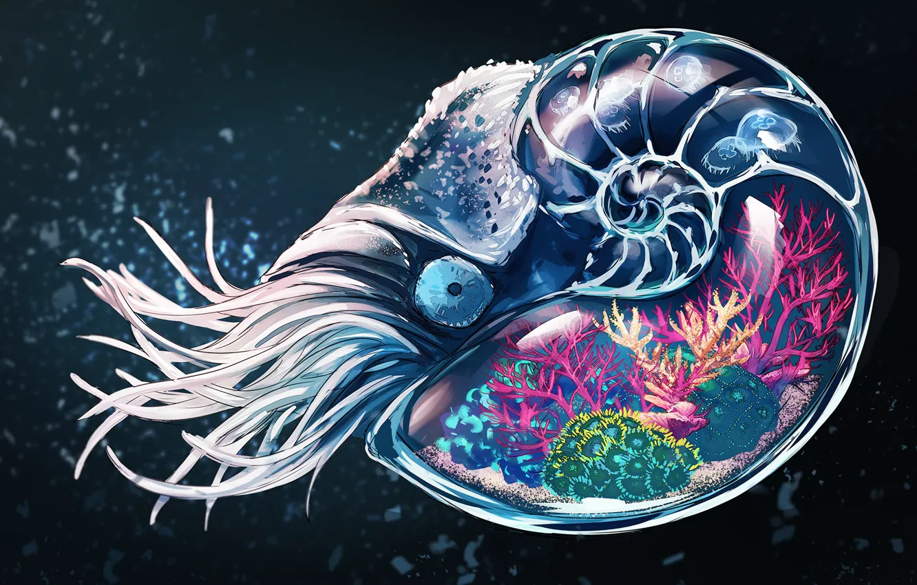 Фото обои глаза, океан, рисунок, раковина, кораллы, щупальца, моллюски