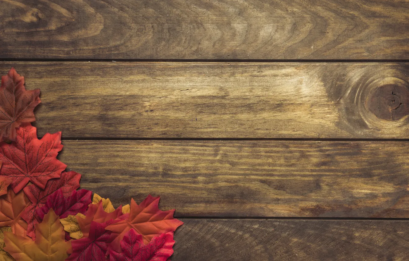 Фото обои осень, листья, фон, дерево, colorful, доска, wood, background