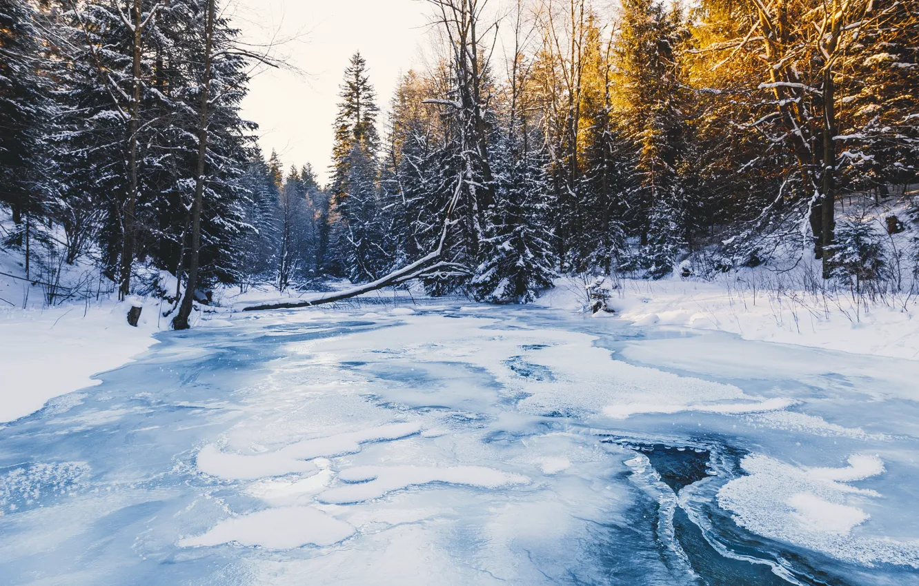 Фото обои зима, лес, река, лёд