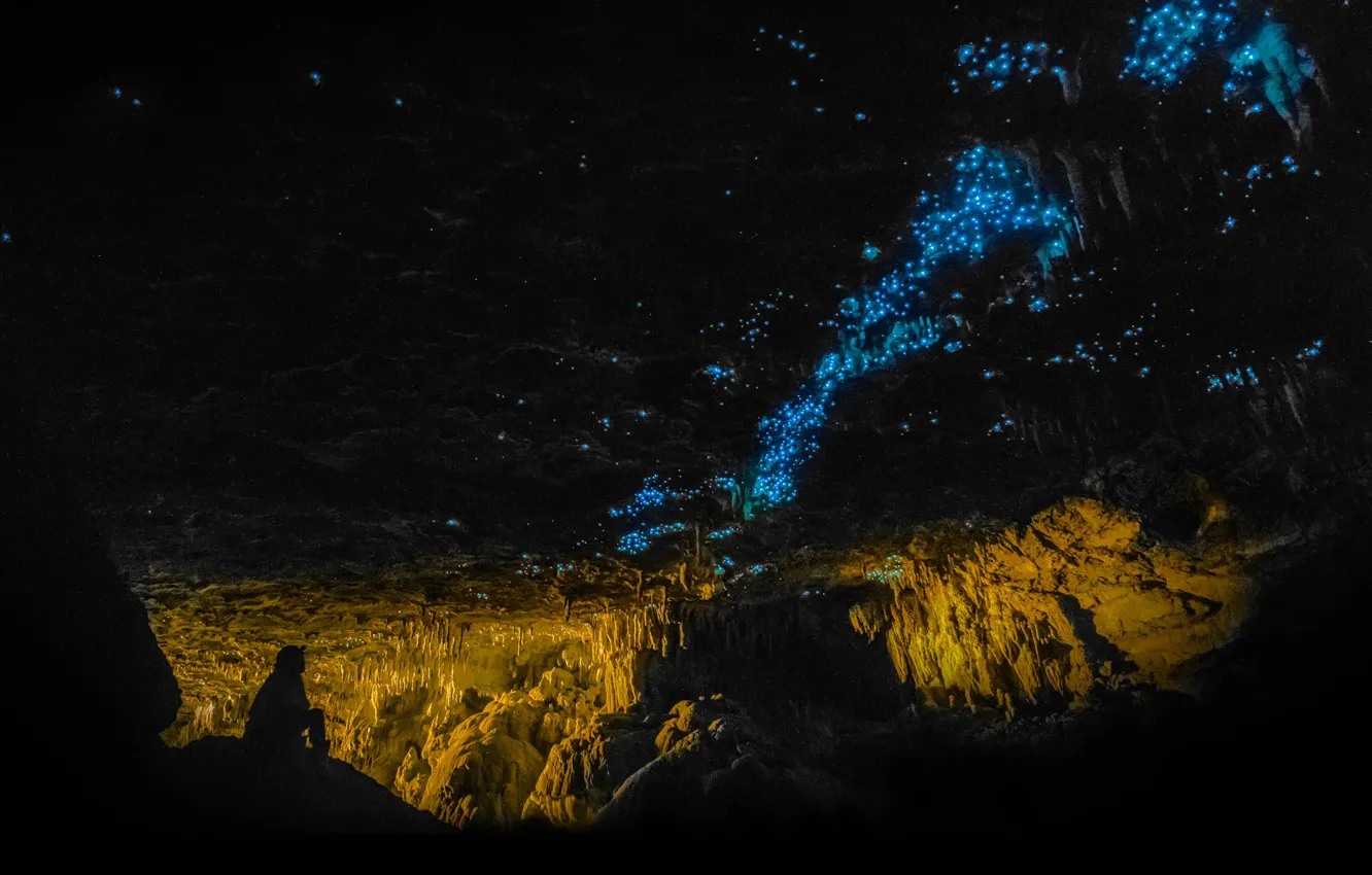Фото обои светлячки, Новая Зеландия, пещера, Waitomo Glowworm Caves