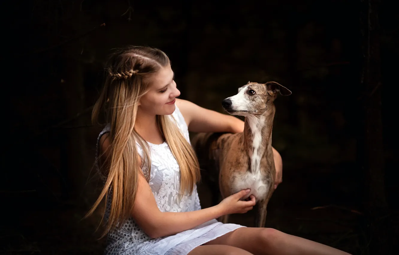 Фото обои девушка, настроение, собака