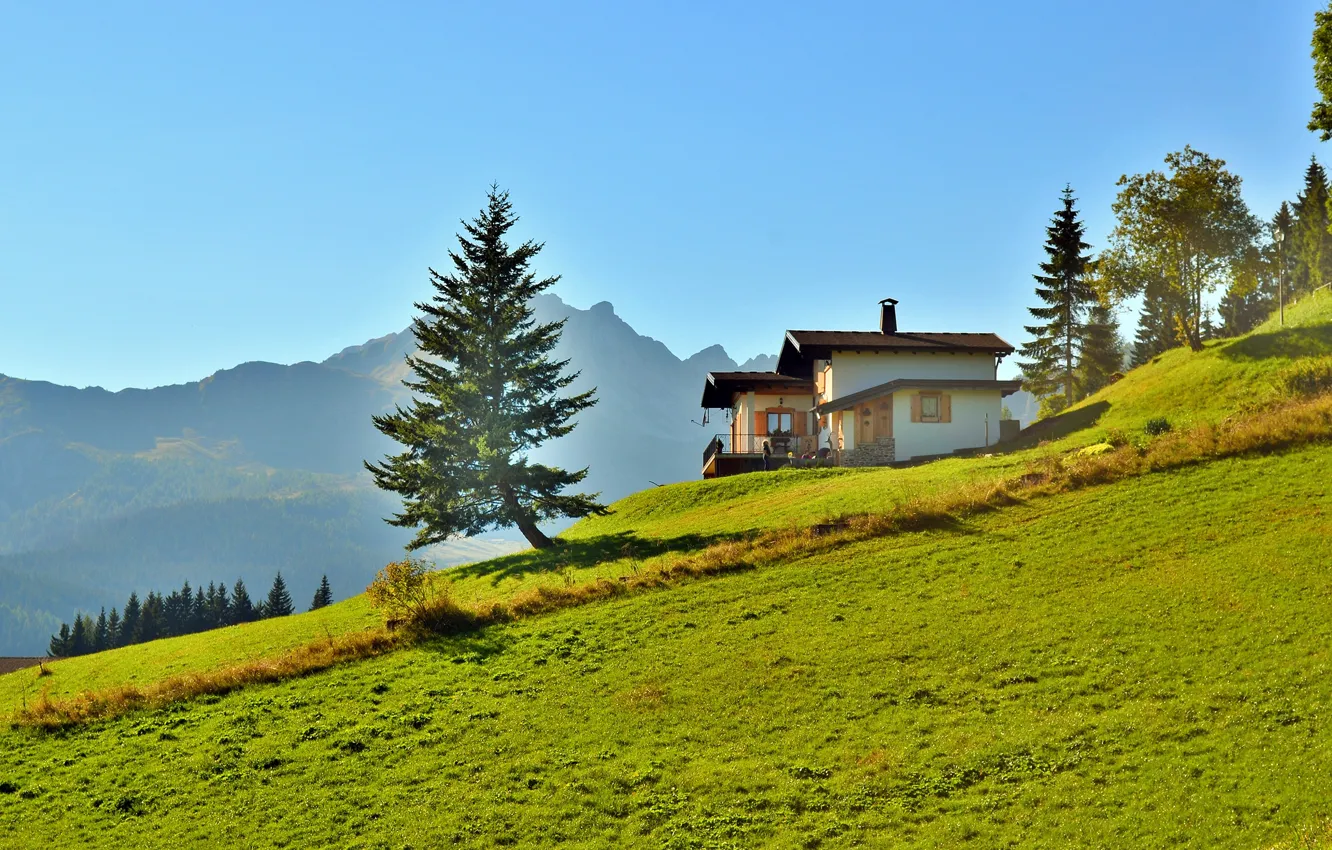 Фото обои зелень, лес, трава, солнце, деревья, горы, склон, Италия