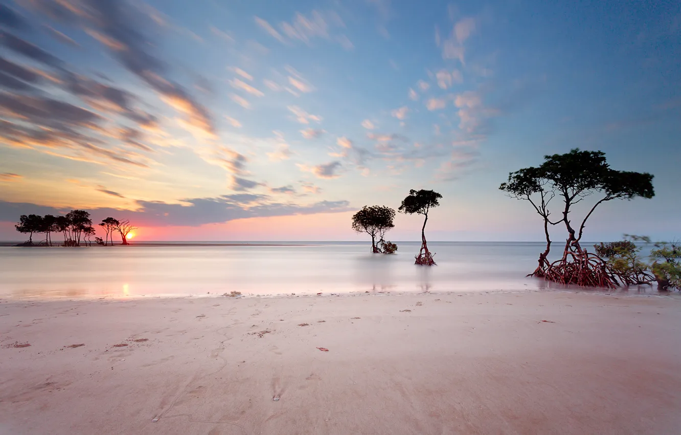 Фото обои песок, море, пляж, небо, солнце, облака, деревья, закат
