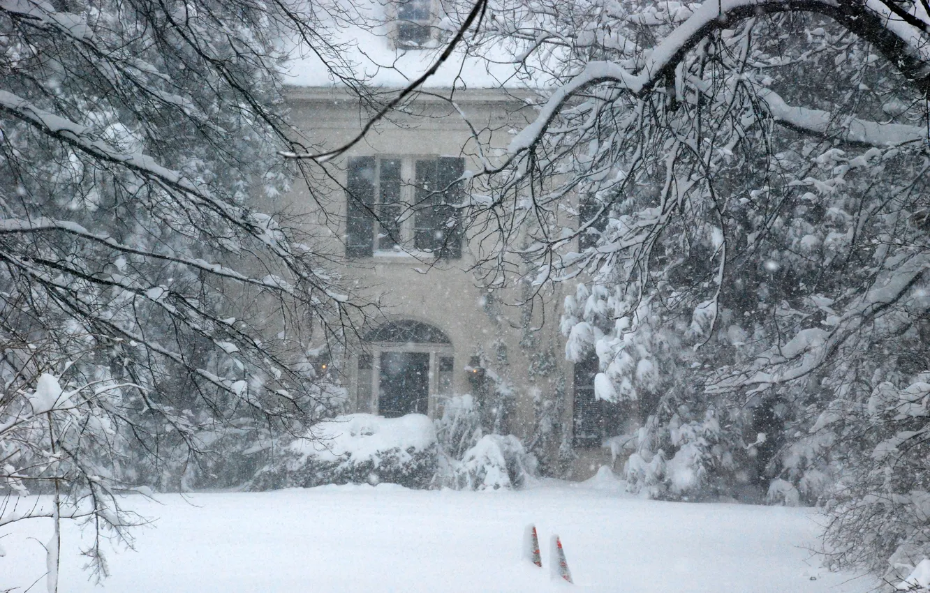 Фото обои зима, снег, дом, метель