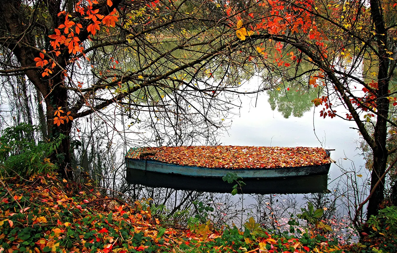 Фото обои осень, листья, деревья, озеро, лодка