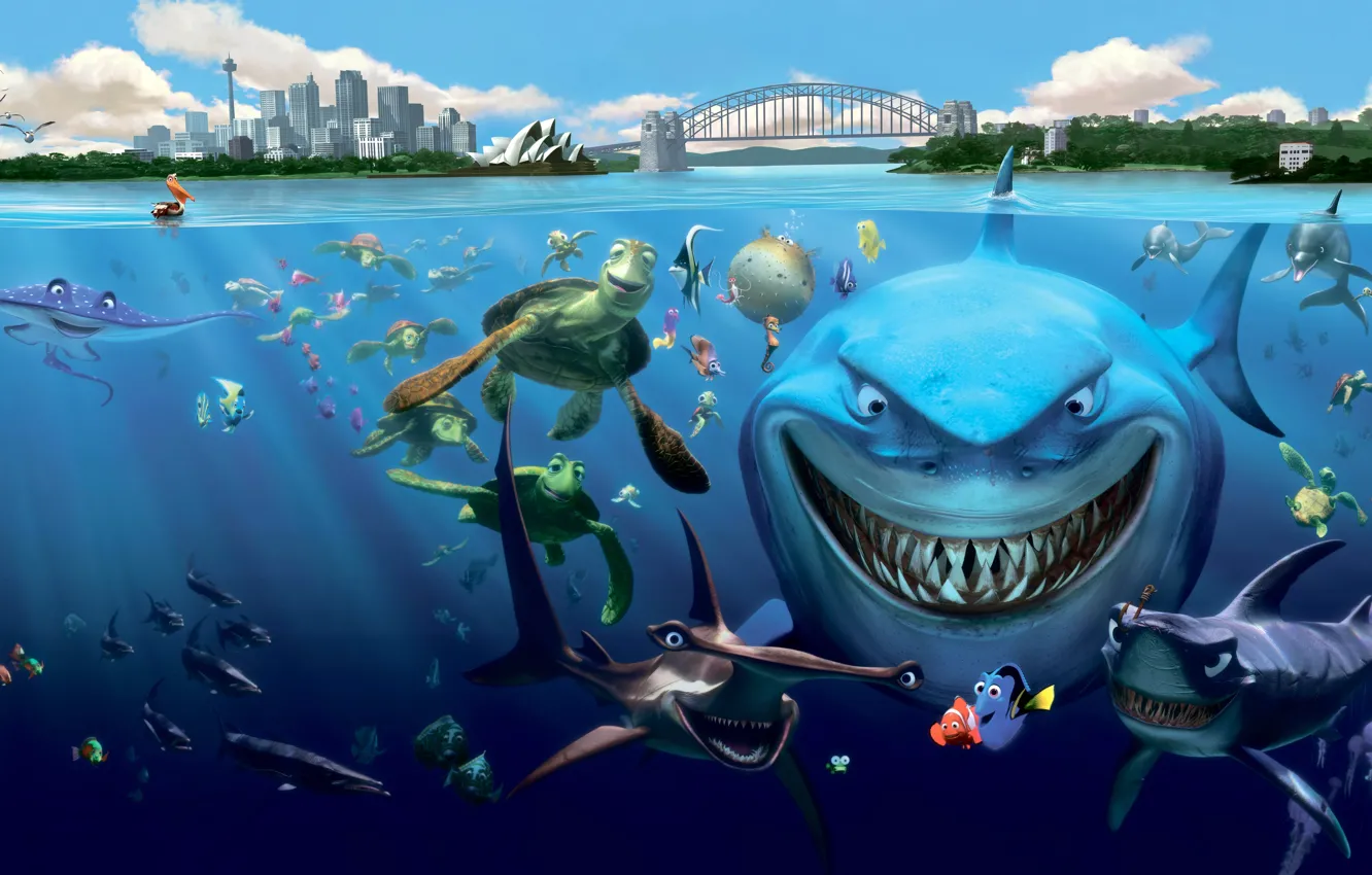 Фото обои ЧЕРЕПАХИ, РЫБЫ, МУЛЬТФИЛЬМ, АКУЛЫ, ПОДВОДНЫЕ, ОБИТАТЕЛИ, Finding Nemo