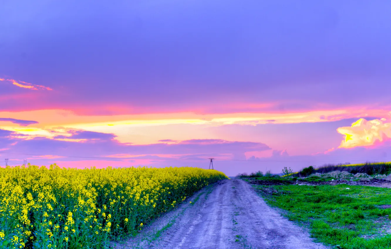 Фото обои дорога, поле, небо, цветы, весна, май, Nature, may