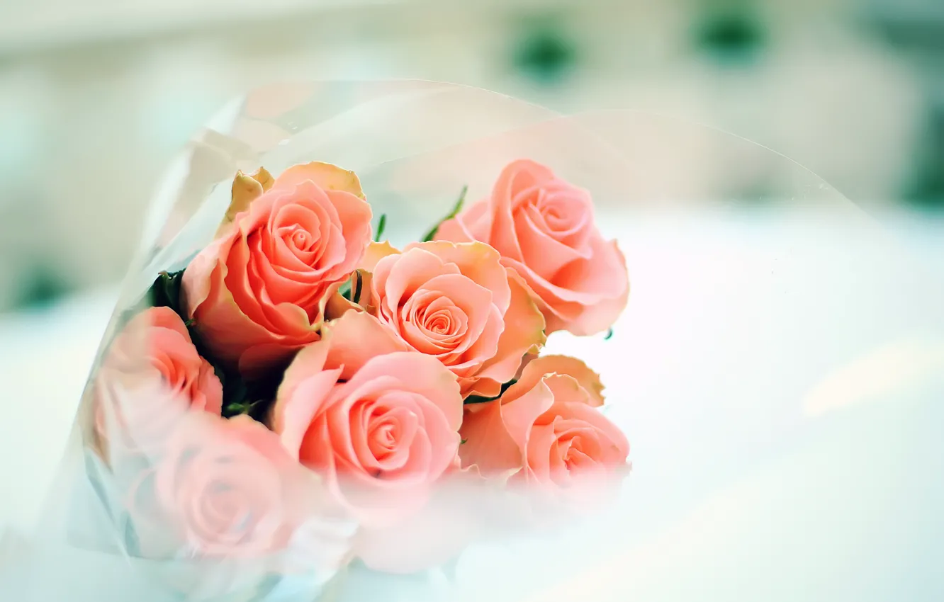 Фото обои нежность, розы, букет