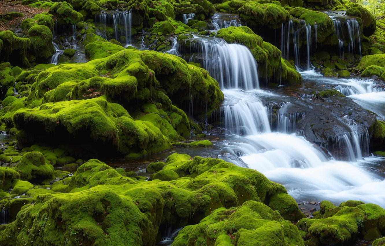 Фото обои зелень, природа, камни, скалы, водопад, мох, поток, каскад