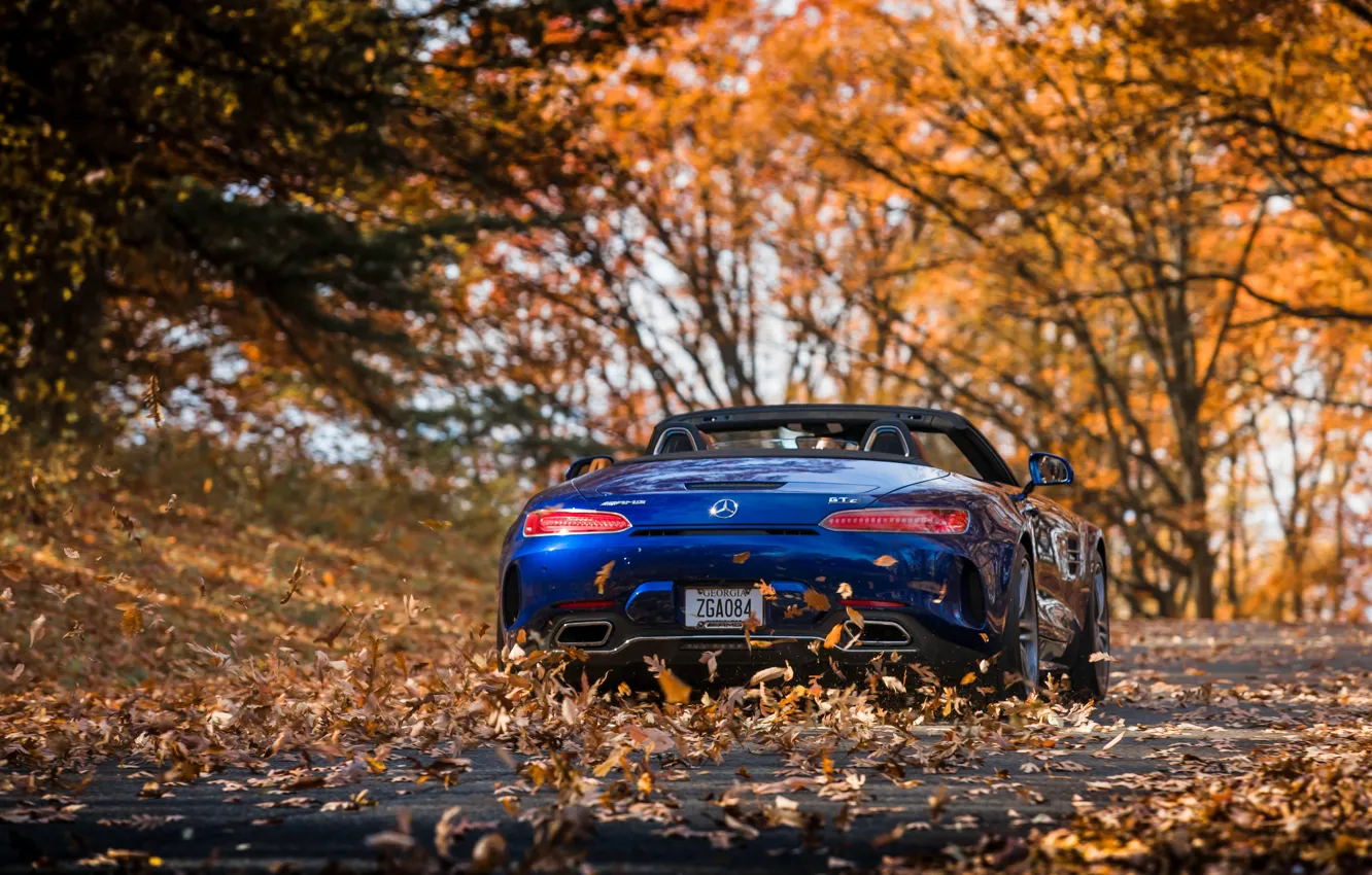 Фото обои Roadster, Mercedes-Benz, вид сзади, AMG, 2018, GT C