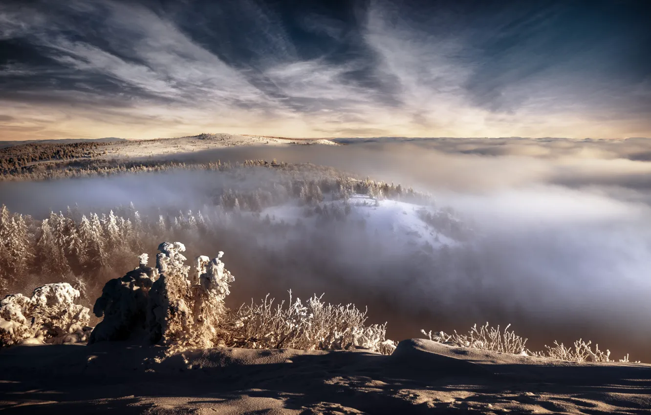 Фото обои зима, небо, облака, свет, снег, горы, ветки, туман