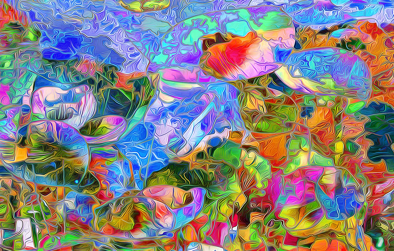 Фото обои поле, цветы, абстракция