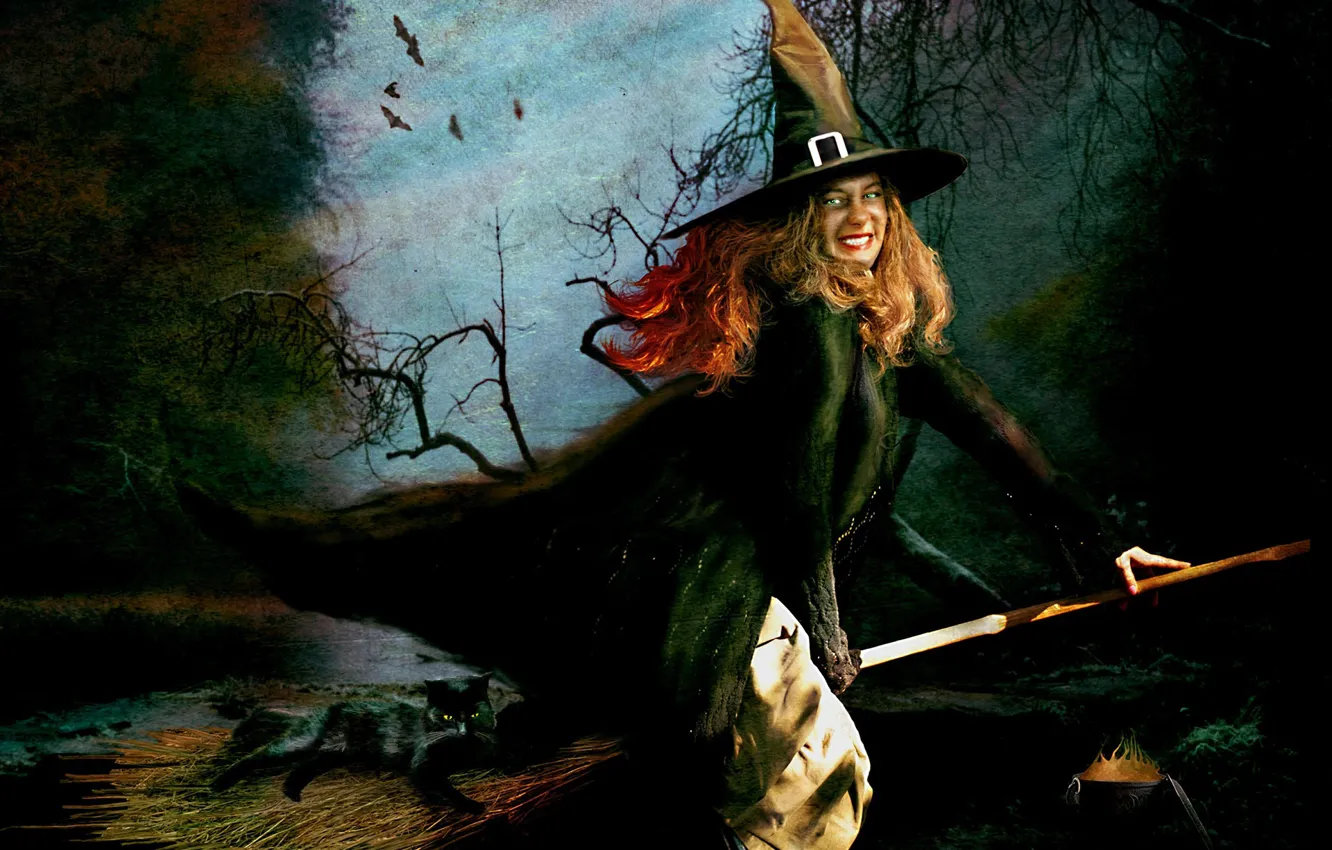 Фото обои Хеллоуин, ведьма, метла, чёрная кошка