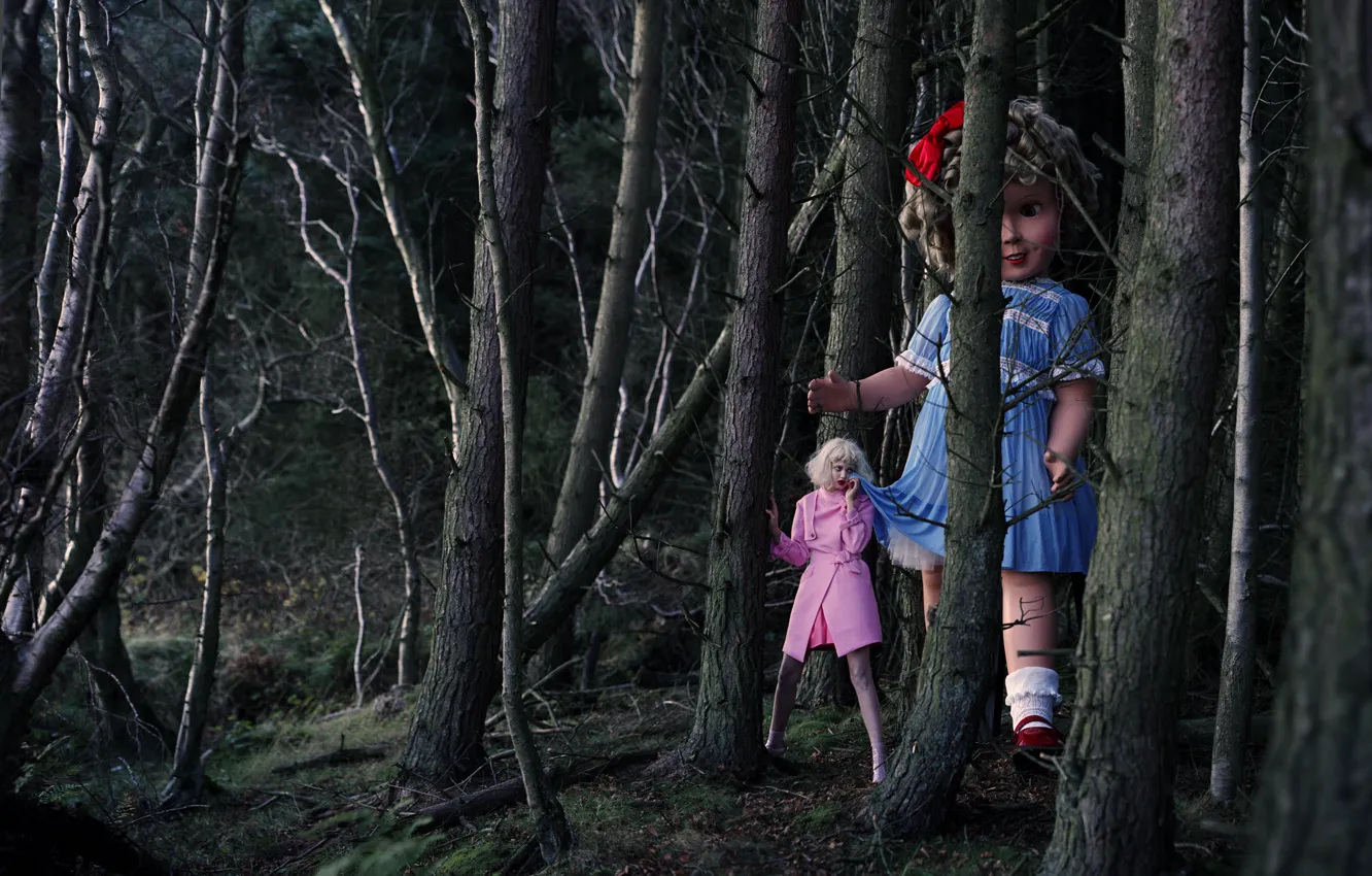 Фото обои лес, кукла, Lindsey Wixson