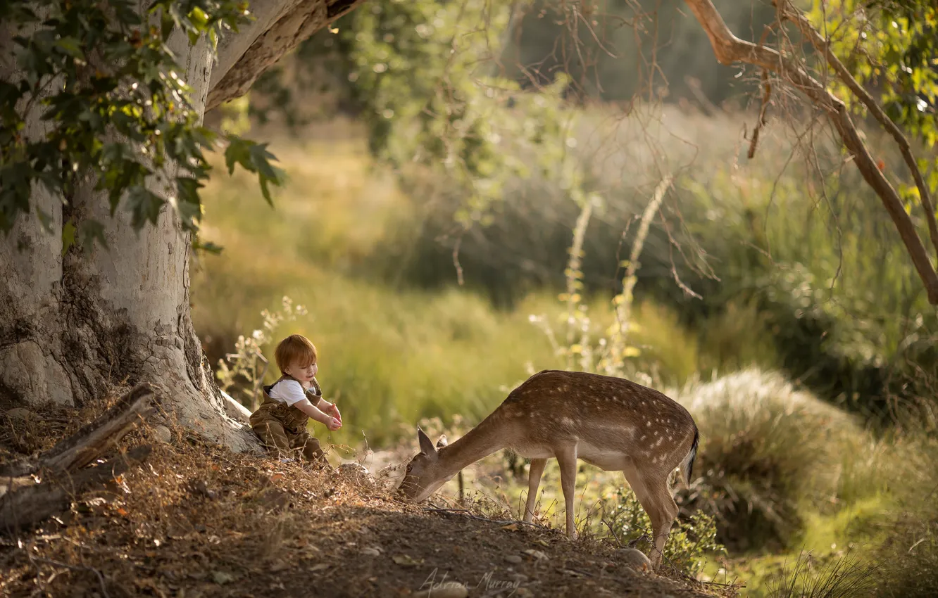 Фото обои природа, мальчик, олень