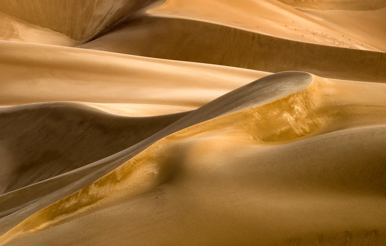 Фото обои песок, пустыня, бархан