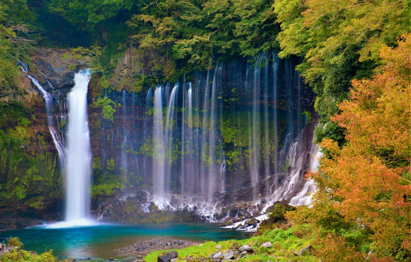 Фото обои осень, лес, деревья, скала, водопад, Япония, Japan, Shiraito Falls