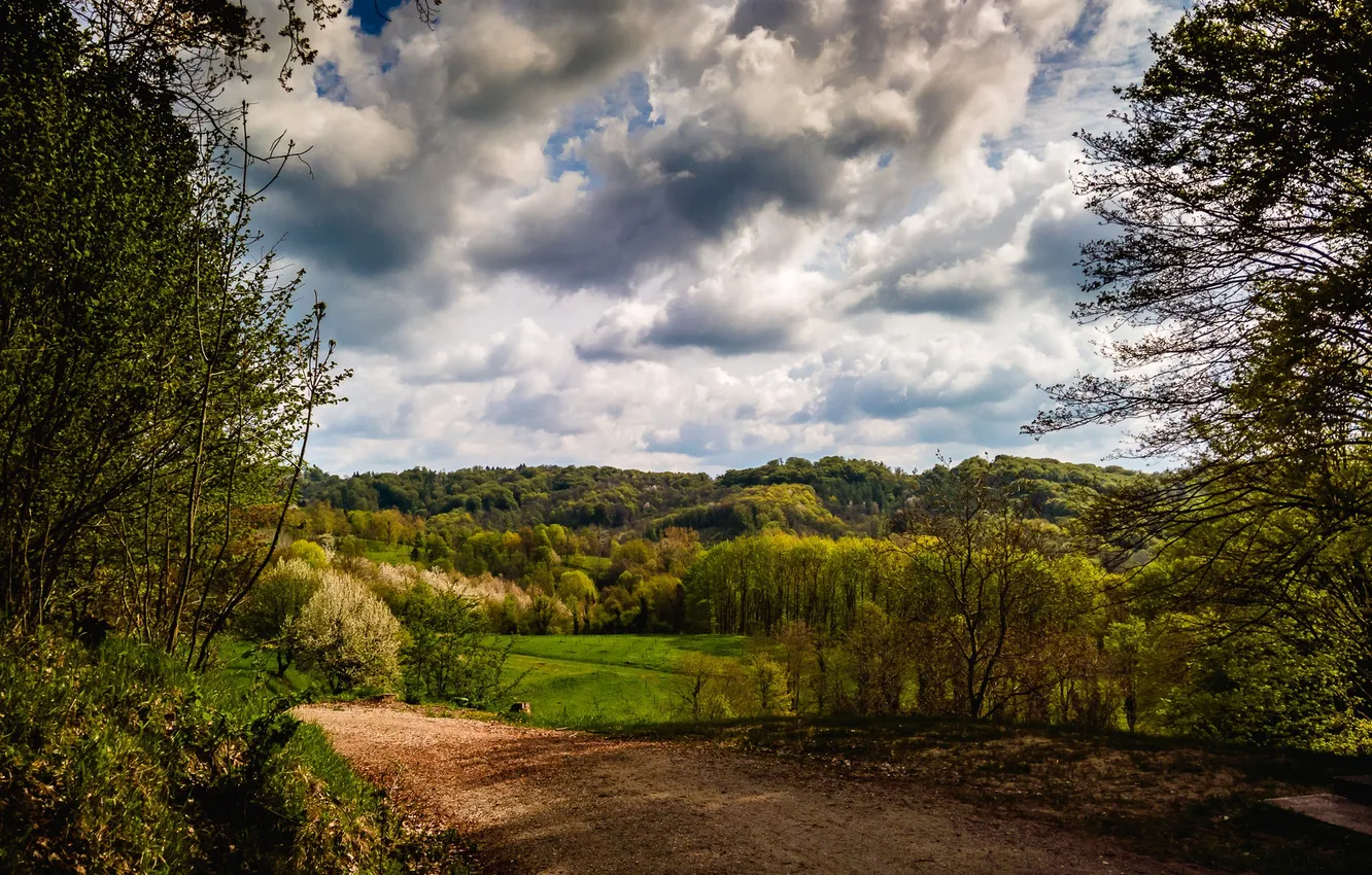 Фото обои дорога, лес, облака, деревья, Германия, Kaiserstuhl hills