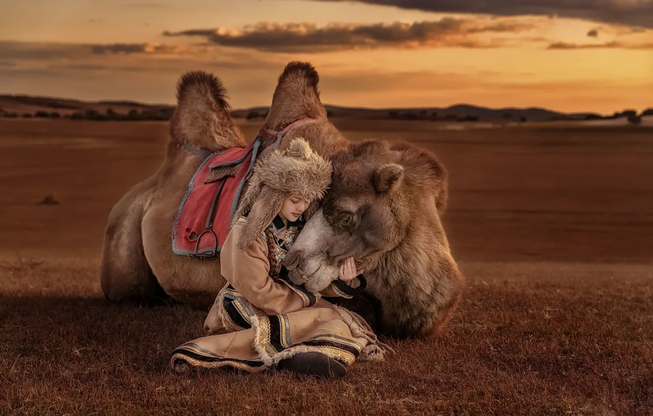 Фото обои девушка, верблюд, азиатка
