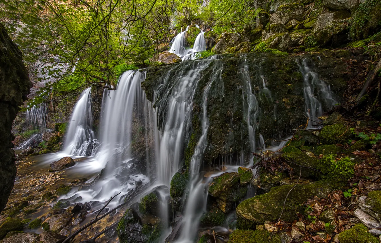 Фото обои лес, листья, камни, Франция, водопад, мох, кусты, Doriaz Waterfall