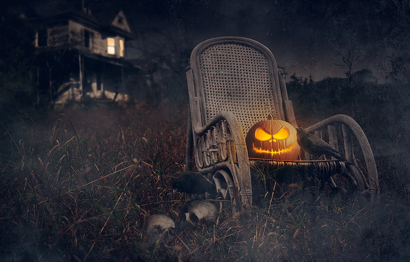 Фото обои ночь, дом, праздник, Halloween, тыква, черепа, Хэллоуин, грачи
