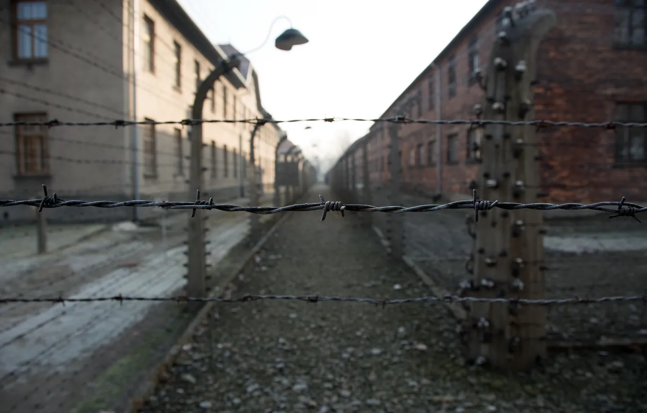 Фото обои свобода, смерть, Auschwitz, фашизм