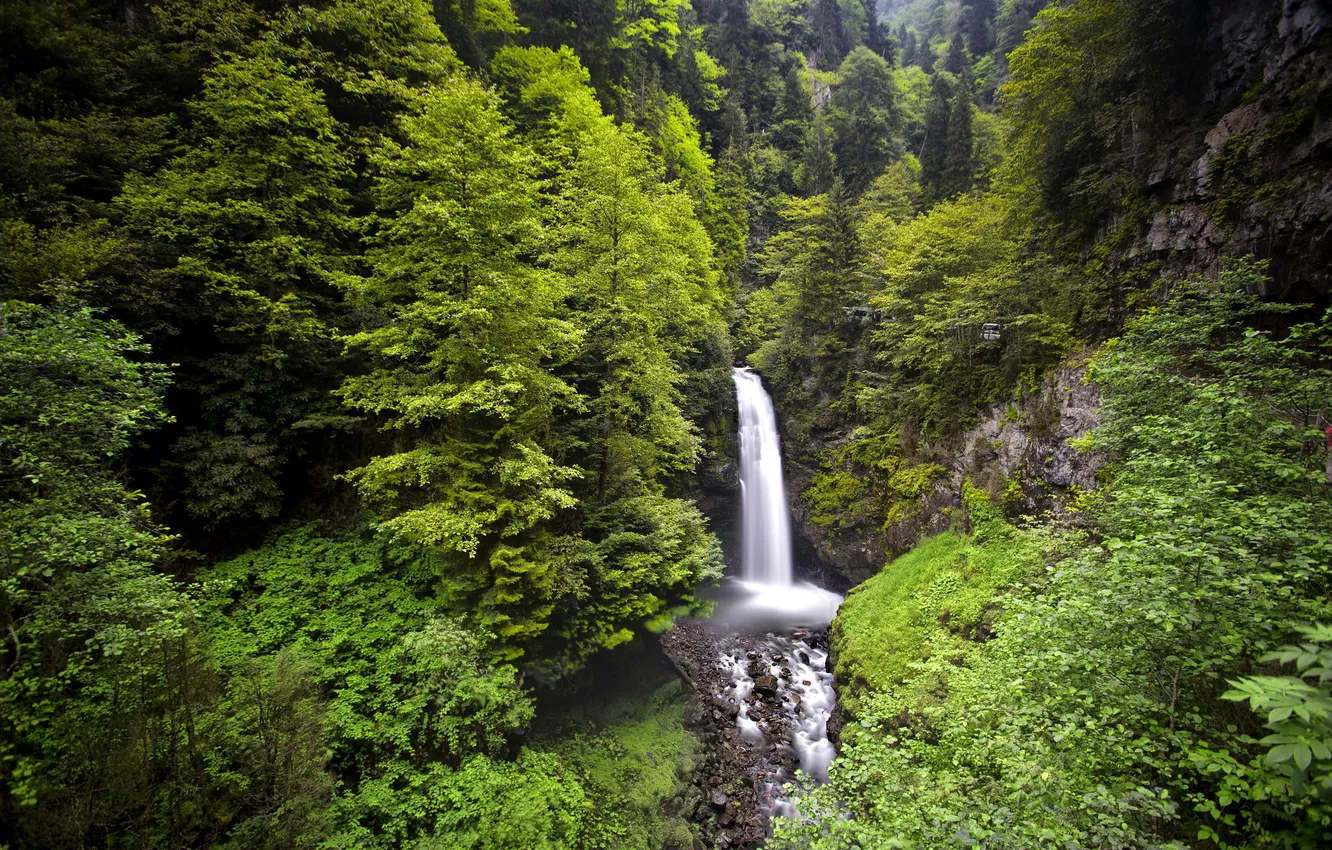 Фото обои лес, природа, скалы, водопад