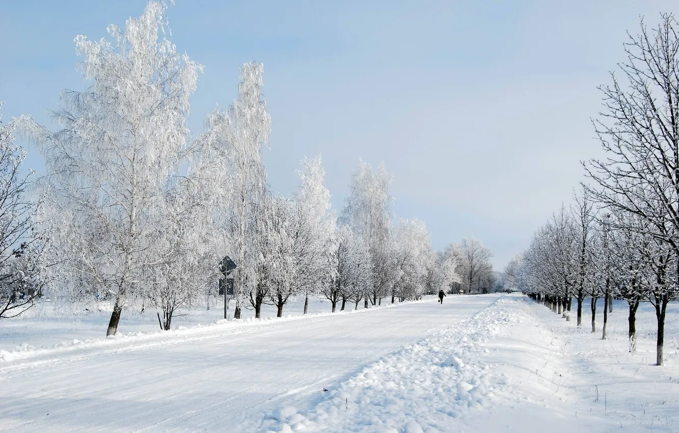 Фото обои дорога, снег, деревья, иний, Зима