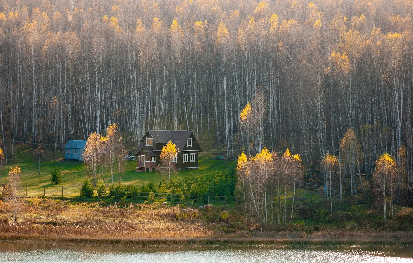 Фото обои осень, Лес, домик