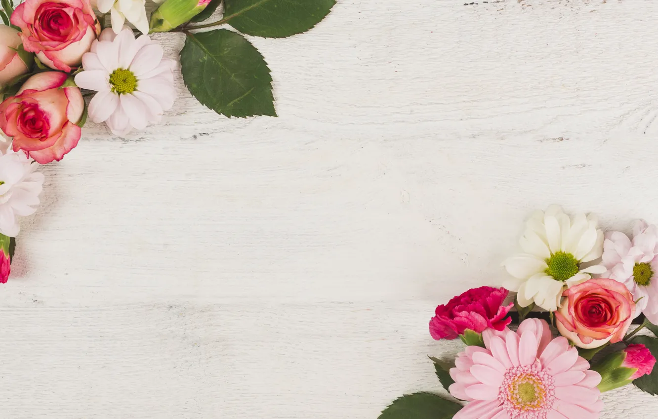 Фото обои цветы, розы, герберы, хризантемы