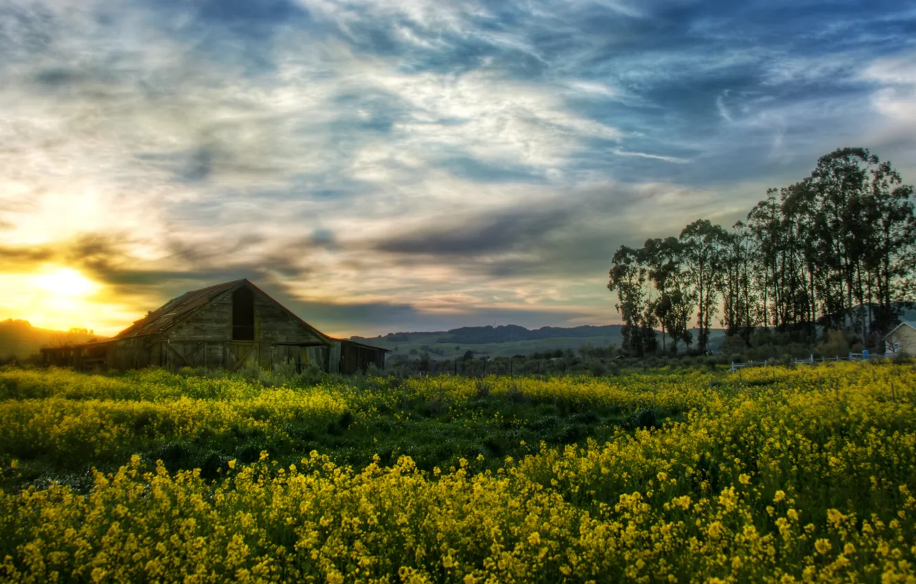 Фото обои сарай, Калифорния, USA, США, Сalifornia, ферма, barn, farm